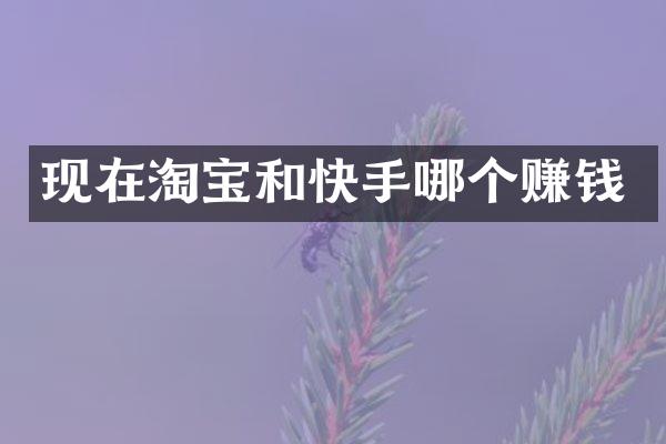 现在淘宝和快手哪个赚钱