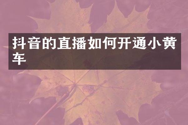 抖音的直播如何开通小黄车