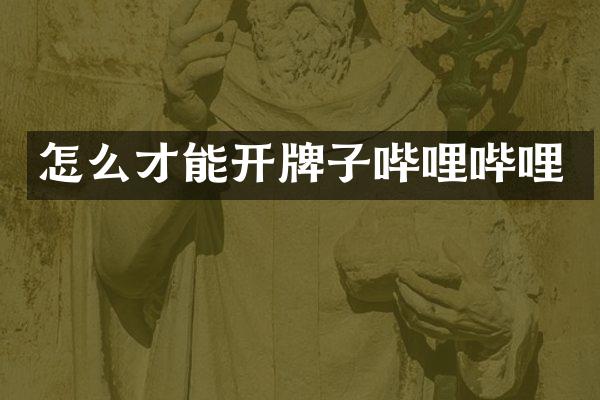 怎么才能开牌子哔哩哔哩