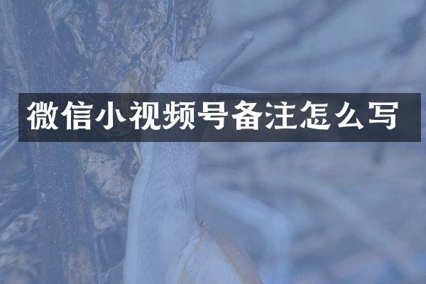 微信小视频号备注怎么写