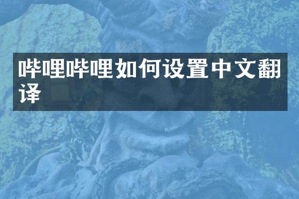 哔哩哔哩如何设置中文翻译