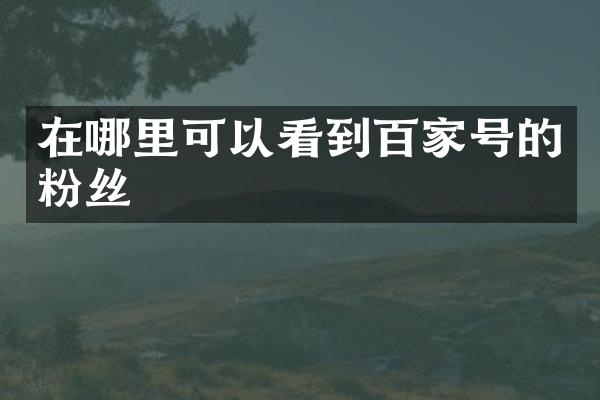 在哪里可以看到百家号的粉丝