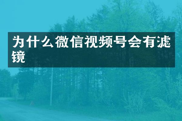 为什么微信视频号会有滤镜