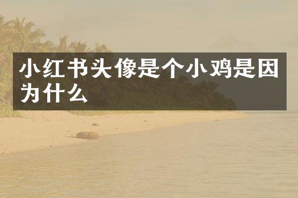 小红书头像是个小鸡是因为什么