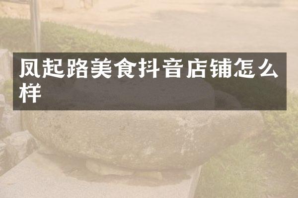 凤起路美食抖音店铺怎么样