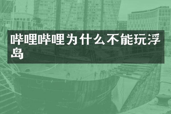 哔哩哔哩为什么不能玩浮岛