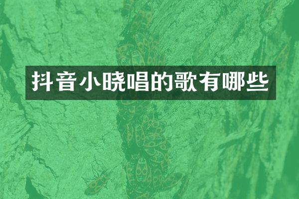 抖音小晓唱的歌有哪些