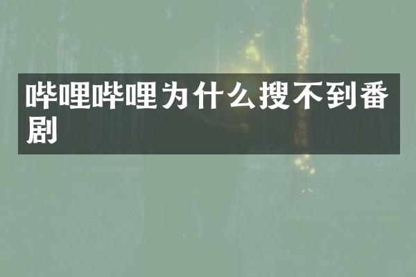 哔哩哔哩为什么搜不到番剧