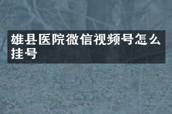 雄县医院微信视频号怎么挂号