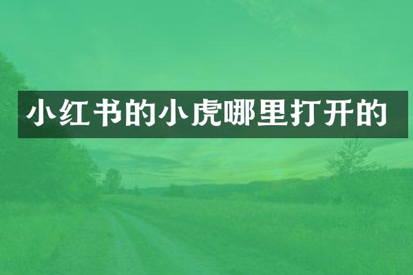 小红书的小虎哪里打开的