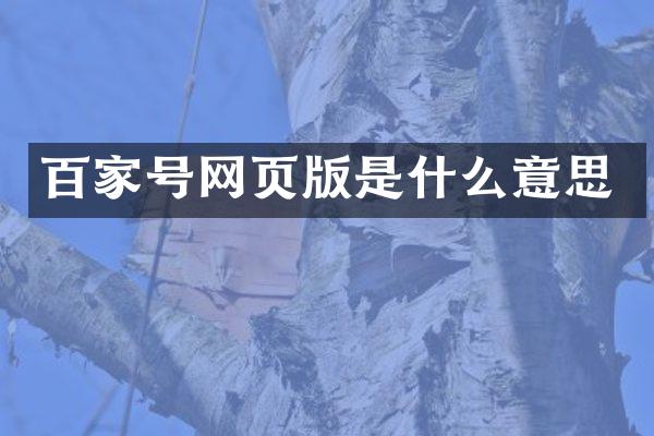 百家号网页版是什么意思