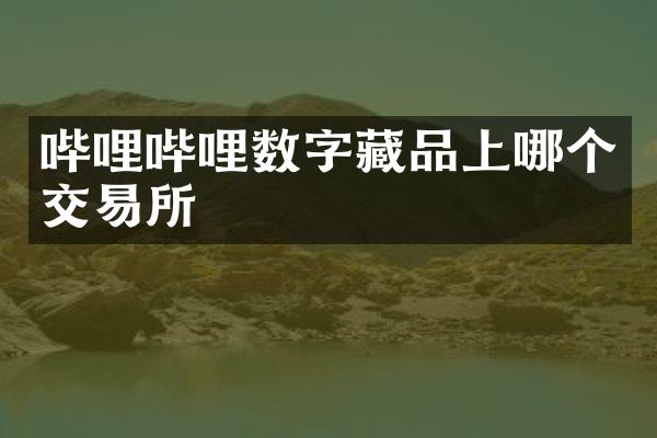 哔哩哔哩数字藏品上哪个交易所