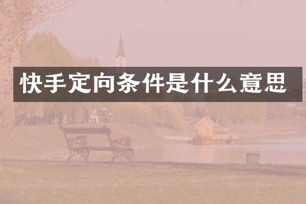 快手定向条件是什么意思