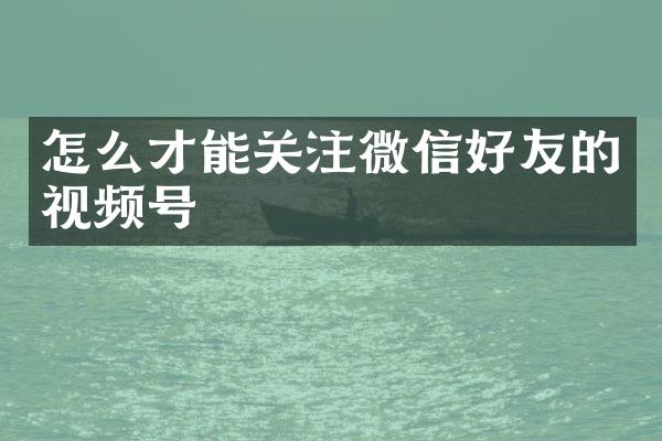 怎么才能关注微信好友的视频号