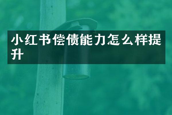 小红书偿债能力怎么样提升