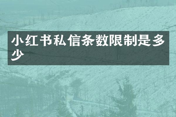 小红书私信条数限制是多少