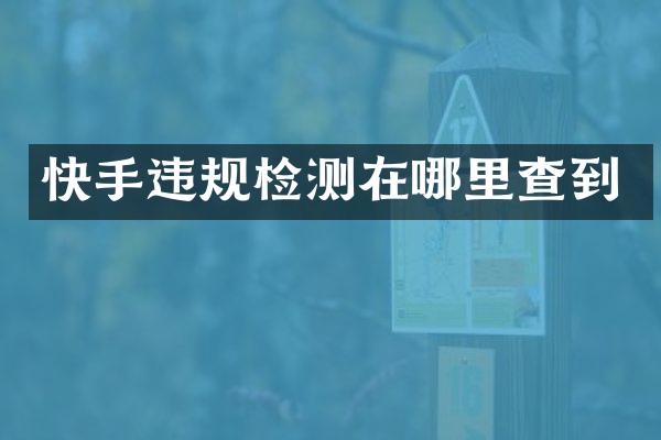 快手违规检测在哪里查到