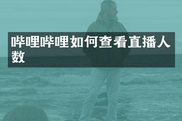 哔哩哔哩如何查看直播人数