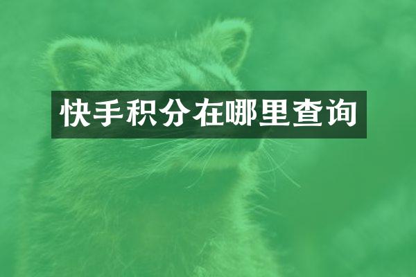 快手积分在哪里查询