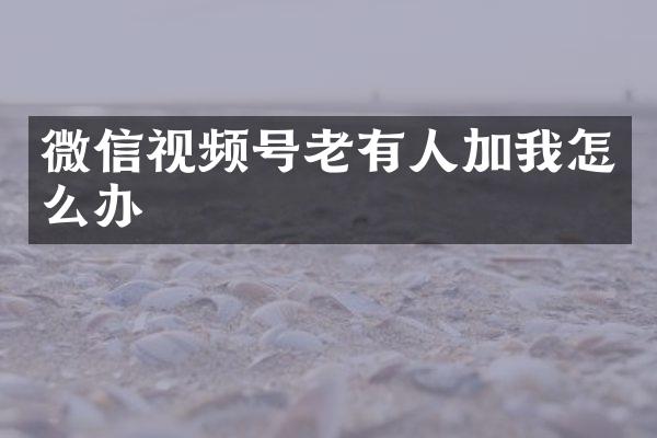 微信视频号老有人加我怎么办