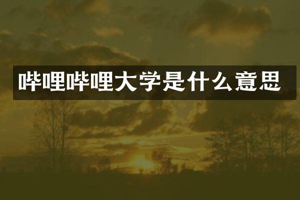 哔哩哔哩大学是什么意思