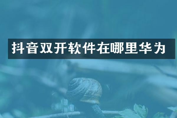 抖音双开软件在哪里华为