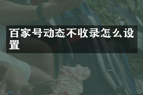 百家号动态不收录怎么设置