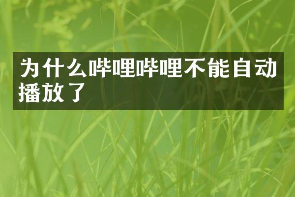 为什么哔哩哔哩不能自动播放了