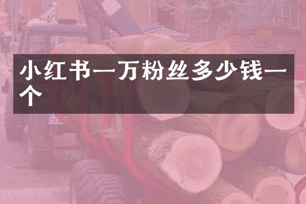 小红书一万粉丝多少钱一个