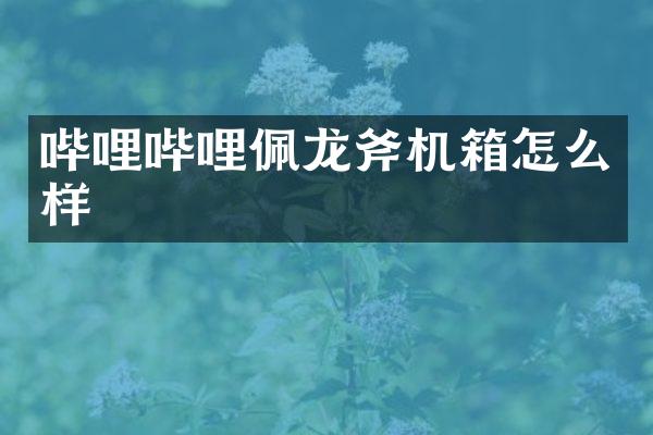 哔哩哔哩佩龙斧机箱怎么样