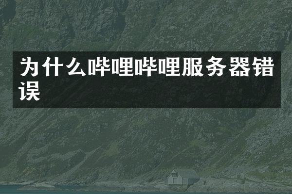 为什么哔哩哔哩服务器错误