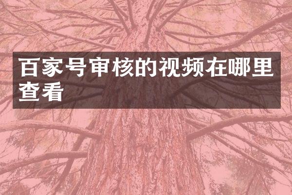 百家号审核的视频在哪里查看