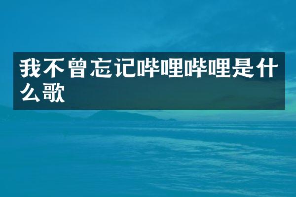 我不曾忘记哔哩哔哩是什么歌