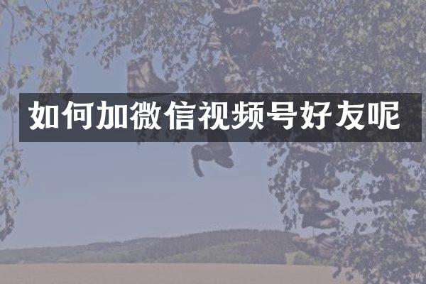 如何加微信视频号好友呢