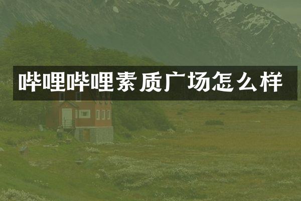 哔哩哔哩素质广场怎么样