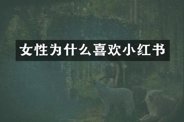 女性为什么喜欢小红书