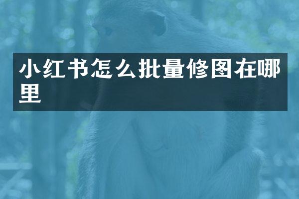 小红书怎么批量修图在哪里