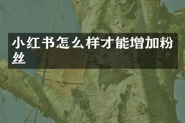 小红书怎么样才能增加粉丝