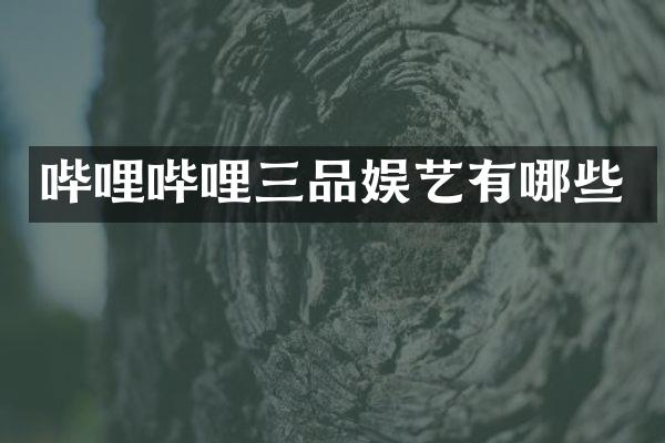 哔哩哔哩三品娱艺有哪些