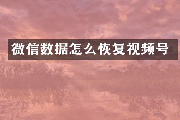 微信数据怎么恢复视频号