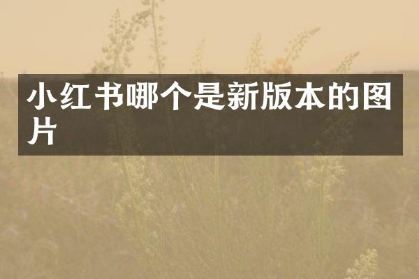 小红书哪个是新版本的图片