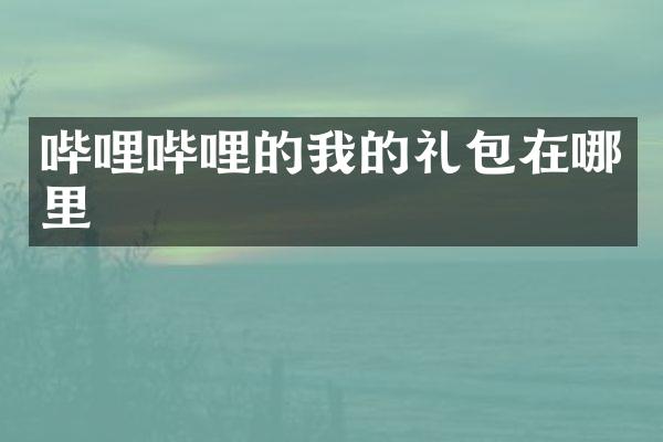 哔哩哔哩的我的礼包在哪里
