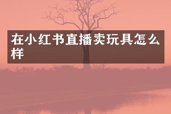 在小红书直播卖玩具怎么样