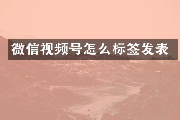 微信视频号怎么标签发表