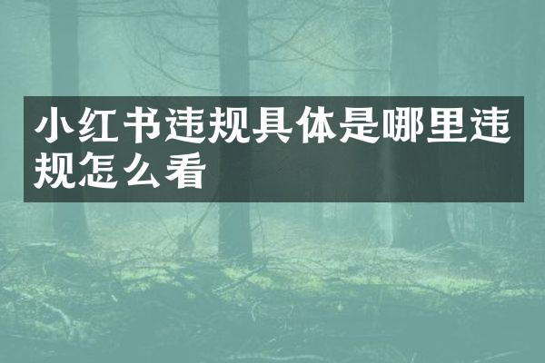 小红书违规具体是哪里违规怎么看