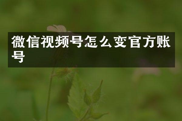 微信视频号怎么变官方账号