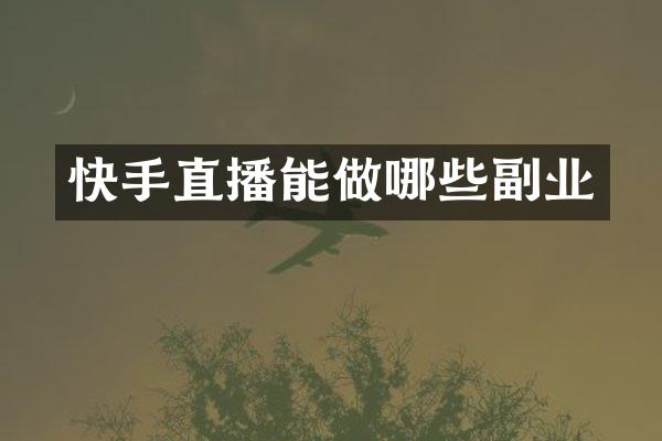 快手直播能做哪些副业