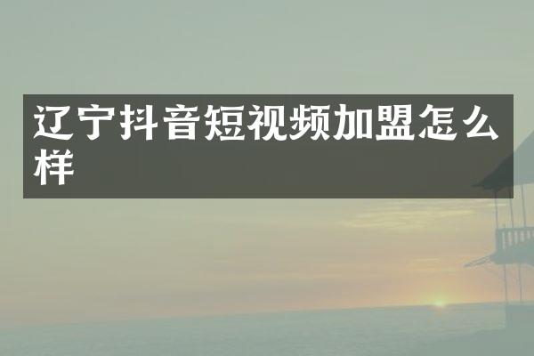 辽宁抖音短视频加盟怎么样