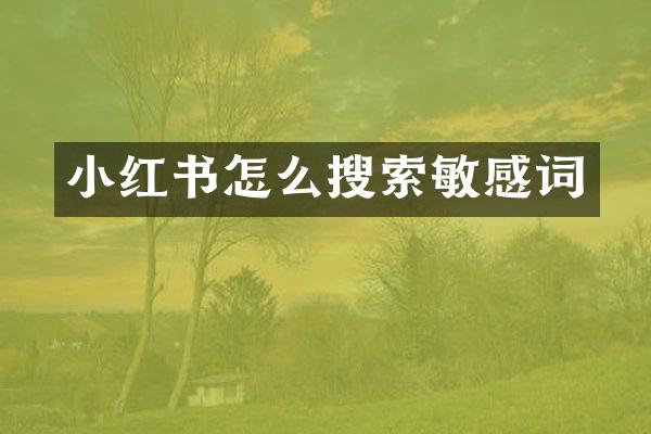 小红书怎么搜索
