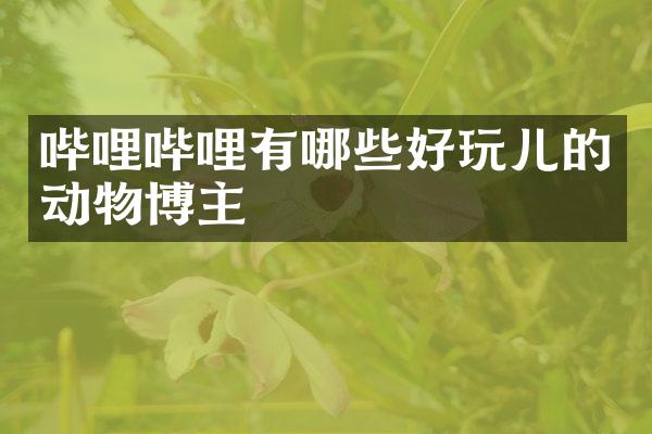 哔哩哔哩有哪些好玩儿的动物博主